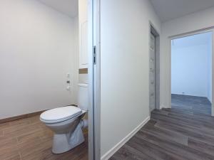 Pronájem bytu 3+1, Chomutov, Školní pěšina, 62 m2