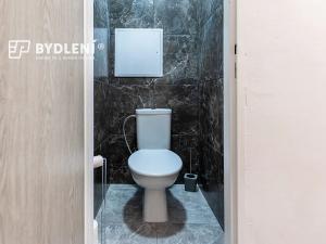 Pronájem bytu 2+1, Teplice, Buzulucká, 57 m2