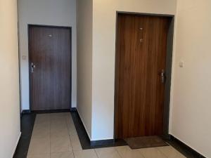 Prodej bytu 2+kk, Ostrava - Přívoz, Špálova, 73 m2