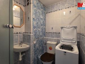 Prodej bytu 1+kk, Hranice, U pošty, 19 m2