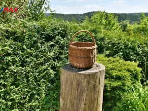 Prodej rodinného domu, Horní Olešnice - Ždírnice, 104 m2