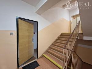 Prodej bytu 2+1, Litvínov - Horní Litvínov, Tylova, 53 m2