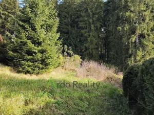 Prodej pozemku pro bydlení, Frymburk, 900 m2