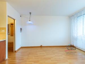 Prodej bytu 2+kk, Praha, Pražská, 38 m2