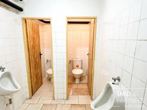 Pronájem komerční nemovitosti, Kolín, Husovo náměstí, 300 m2