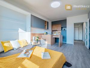 Prodej bytu 1+kk, Hradec Králové - Nový Hradec Králové, Brožíkova, 29 m2