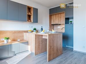 Prodej bytu 1+kk, Hradec Králové - Nový Hradec Králové, Brožíkova, 29 m2