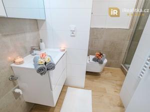 Prodej bytu 1+kk, Hradec Králové - Nový Hradec Králové, Brožíkova, 29 m2