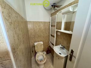 Prodej bytu 1+kk, Opava - Předměstí, Olomoucká, 24 m2