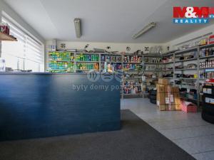 Prodej obchodního prostoru, Jeseník, Lipovská, 592 m2