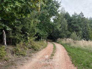 Prodej chaty, Nová Ves, 140 m2