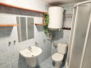 Pronájem rodinného domu, Vojkovice - Bukol, 245 m2