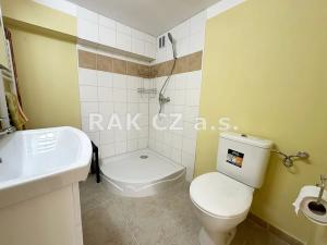 Pronájem bytu 1+kk, Praha - Libeň, Na Truhlářce, 38 m2