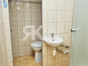 Prodej bytu 1+1, Ostrava, Šeříková, 40 m2