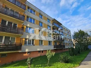 Prodej bytu 1+1, Ostrava, Šeříková, 40 m2
