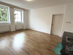 Pronájem bytu 2+kk, České Budějovice, Skuherského, 45 m2