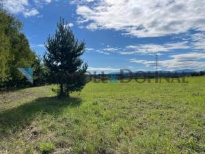 Prodej pozemku pro bydlení, Ostrava - Bartovice, Radova, 78141 m2