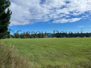 Prodej pozemku pro bydlení, Ostrava - Bartovice, Radova, 78141 m2