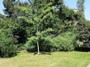 Pronájem bytu 2+1, Praha, Na Třebešíně, 88 m2