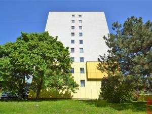 Pronájem bytu 2+kk, Praha - Žižkov, Habrová, 50 m2