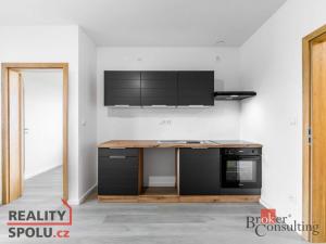 Pronájem bytu 2+kk, Břasy, 39 m2