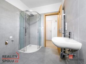 Pronájem bytu 2+kk, Břasy, 39 m2