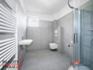 Pronájem bytu 2+kk, Břasy, 39 m2