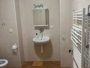 Pronájem bytu 1+kk, Prostějov, 49 m2
