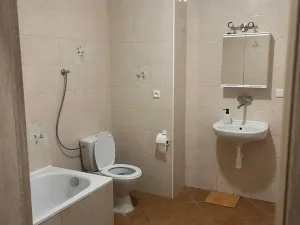 Pronájem bytu 1+kk, Prostějov, 49 m2