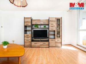 Prodej bytu 4+1, Brandýs nad Labem-Stará Boleslav - Brandýs nad Labem, Na vinici, 84 m2