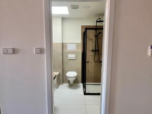 Pronájem bytu 2+kk, Teplice, Duchcovská, 61 m2