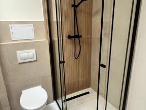 Pronájem bytu 2+kk, Teplice, Duchcovská, 61 m2