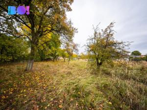 Prodej pozemku pro bydlení, Vitín, 711 m2