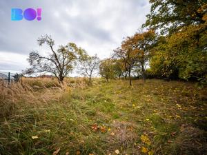 Prodej pozemku pro bydlení, Vitín, 711 m2