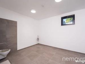 Pronájem bytu 2+kk, Praha - Nusle, Muzikova, 57 m2