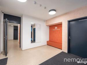 Pronájem bytu 2+kk, Praha - Nusle, Muzikova, 57 m2