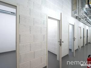 Pronájem bytu 2+kk, Praha - Nusle, Muzikova, 57 m2