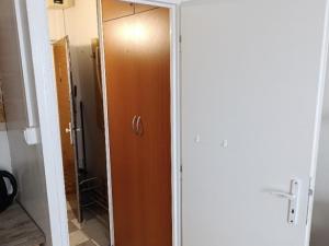 Prodej bytu 1+kk, Chlumec, Krušnohorská, 21 m2