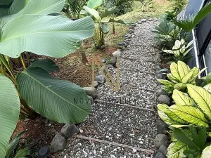 Prodej rodinného domu, Puerto Jiménez, Kostarika, 240 m2