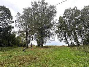 Prodej komerčního pozemku, Lučina, 2602 m2