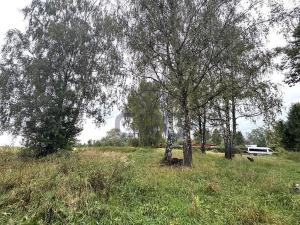 Prodej komerčního pozemku, Lučina, 2602 m2