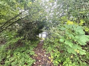 Prodej komerčního pozemku, Lučina, 2602 m2