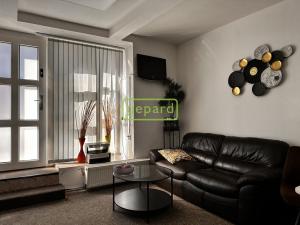 Pronájem bytu 1+1, Brno, Kopečná, 45 m2