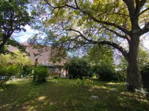 Prodej pozemku pro bydlení, Osová Bítýška - Osová, 1355 m2