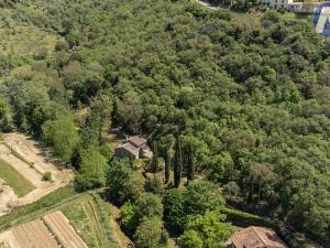 Prodej vily, Cortona, Itálie, 150 m2