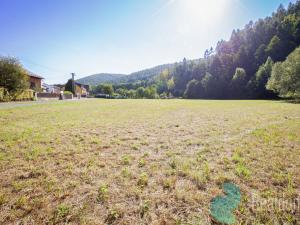 Prodej pozemku pro bydlení, Lesnice, 1193 m2
