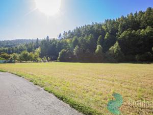 Prodej pozemku pro bydlení, Lesnice, 1193 m2