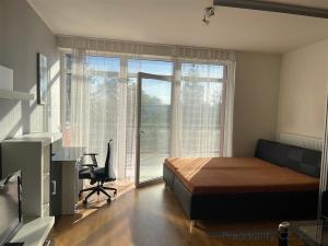 Pronájem bytu 1+kk, Praha, Běchorská, 42 m2