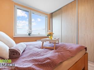 Prodej bytu 3+1, Uherské Hradiště, Na Rybníku, 74 m2