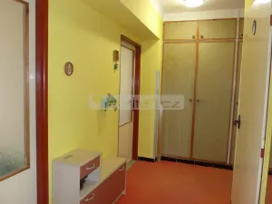 Prodej bytu 3+1, Plzeň - Východní Předměstí, Zahradní, 96 m2